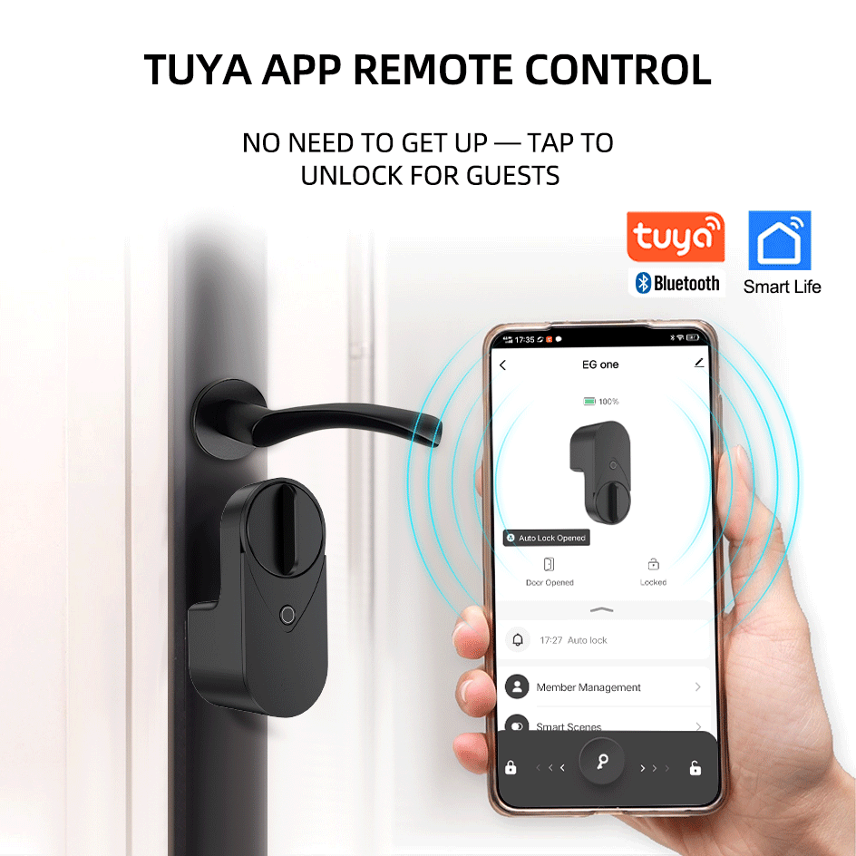RAYKUBE EG One Tuya BLE Smart  - Power Tools Aeg avis et prix